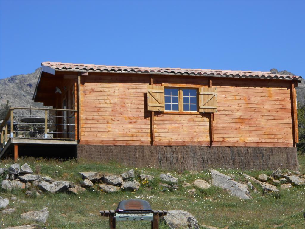 Les Chalets De Lozzi Calacuccia Bilik gambar