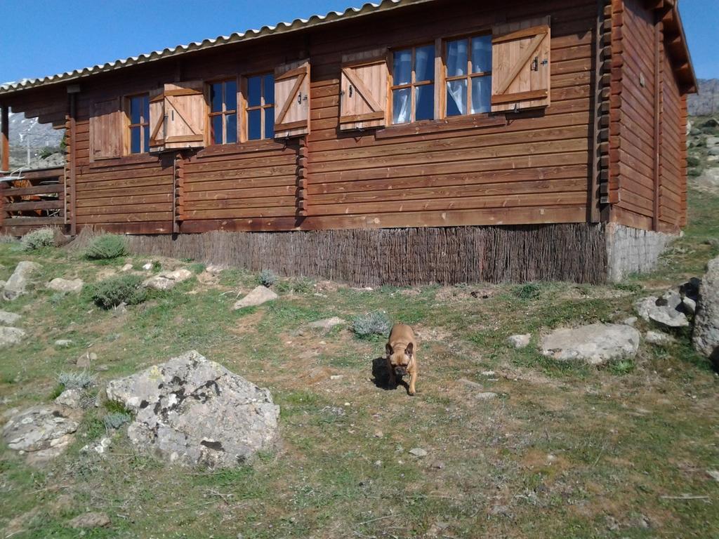 Les Chalets De Lozzi Calacuccia Luaran gambar