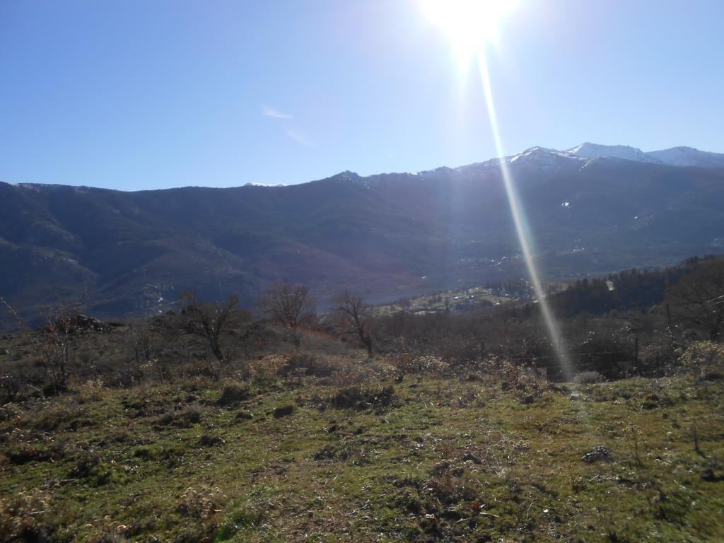 Les Chalets De Lozzi Calacuccia Luaran gambar