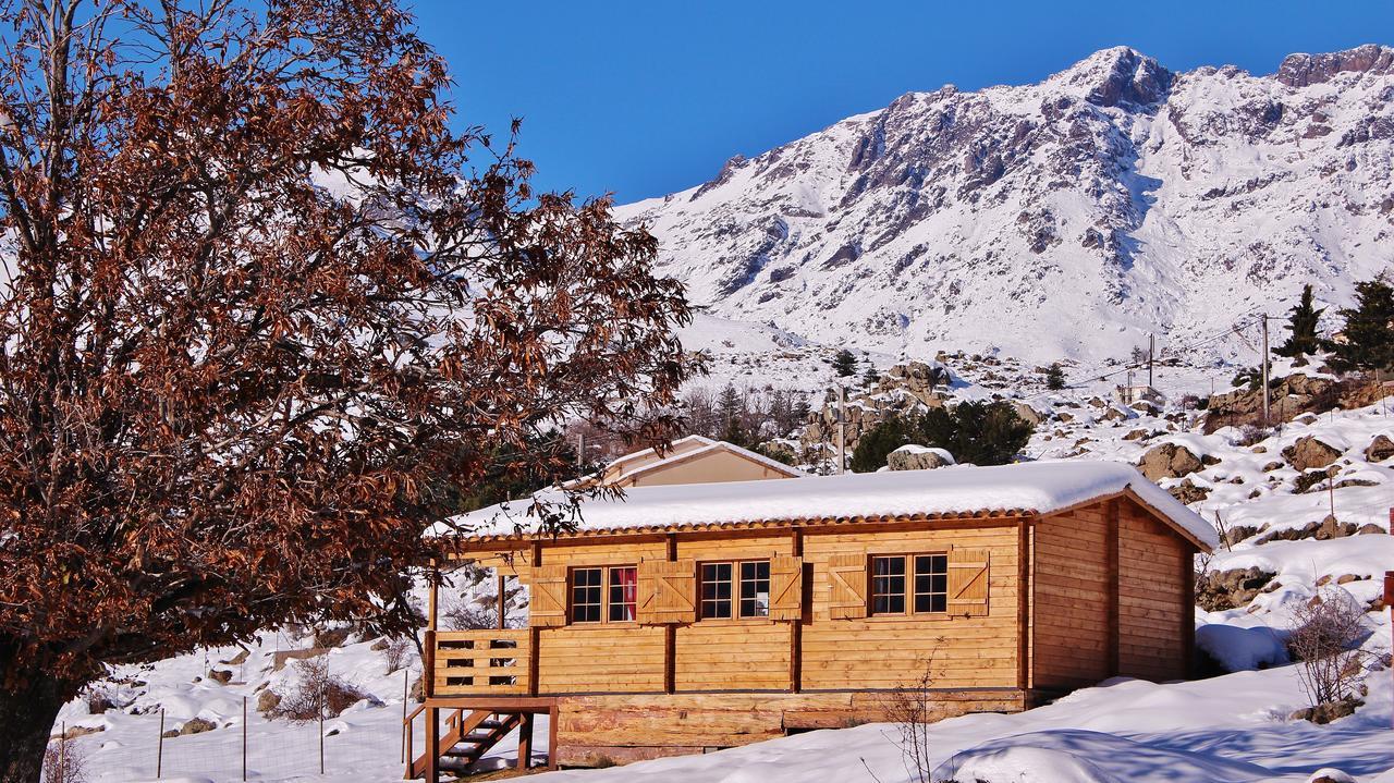 Les Chalets De Lozzi Calacuccia Luaran gambar