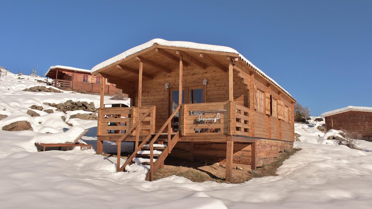 Les Chalets De Lozzi Calacuccia Luaran gambar