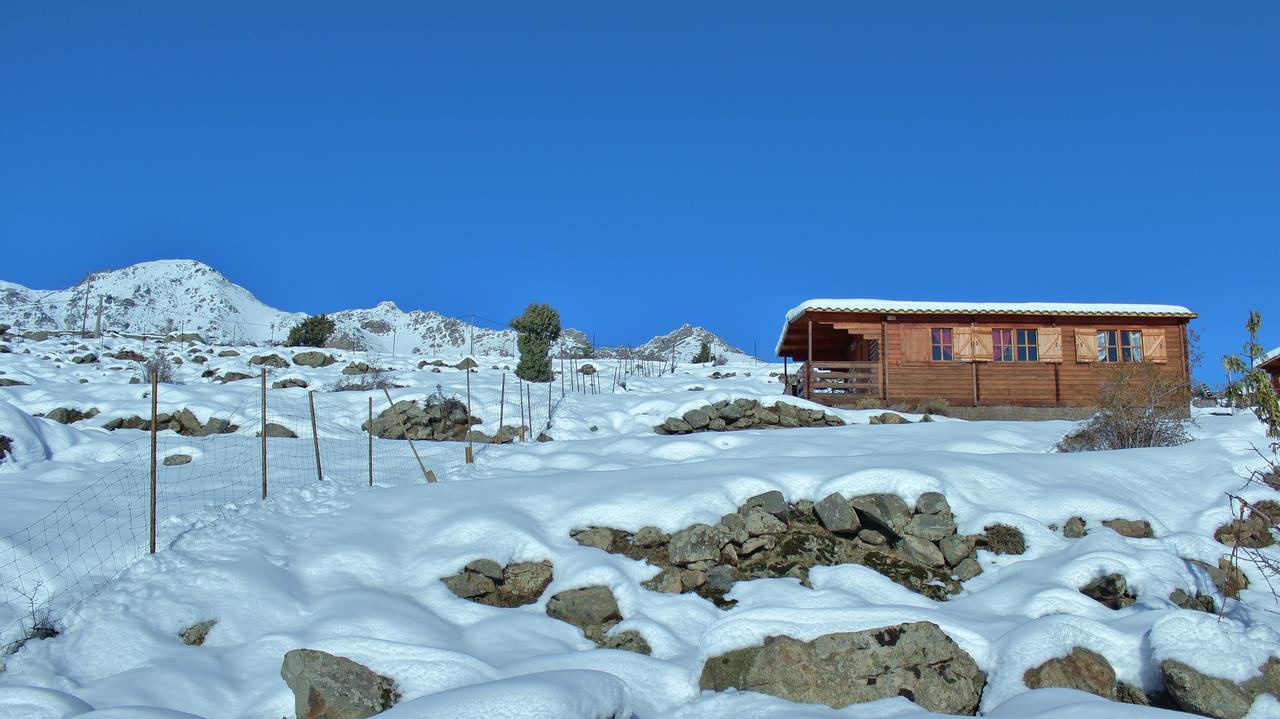 Les Chalets De Lozzi Calacuccia Luaran gambar