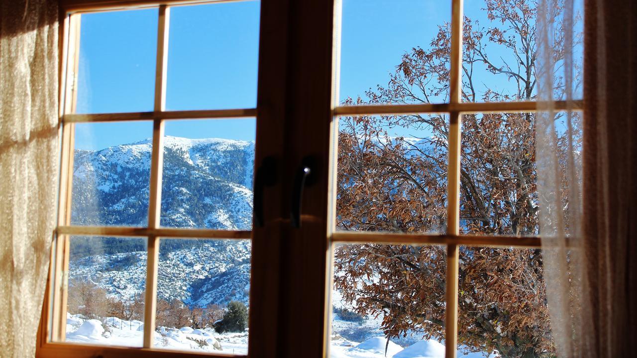 Les Chalets De Lozzi Calacuccia Luaran gambar