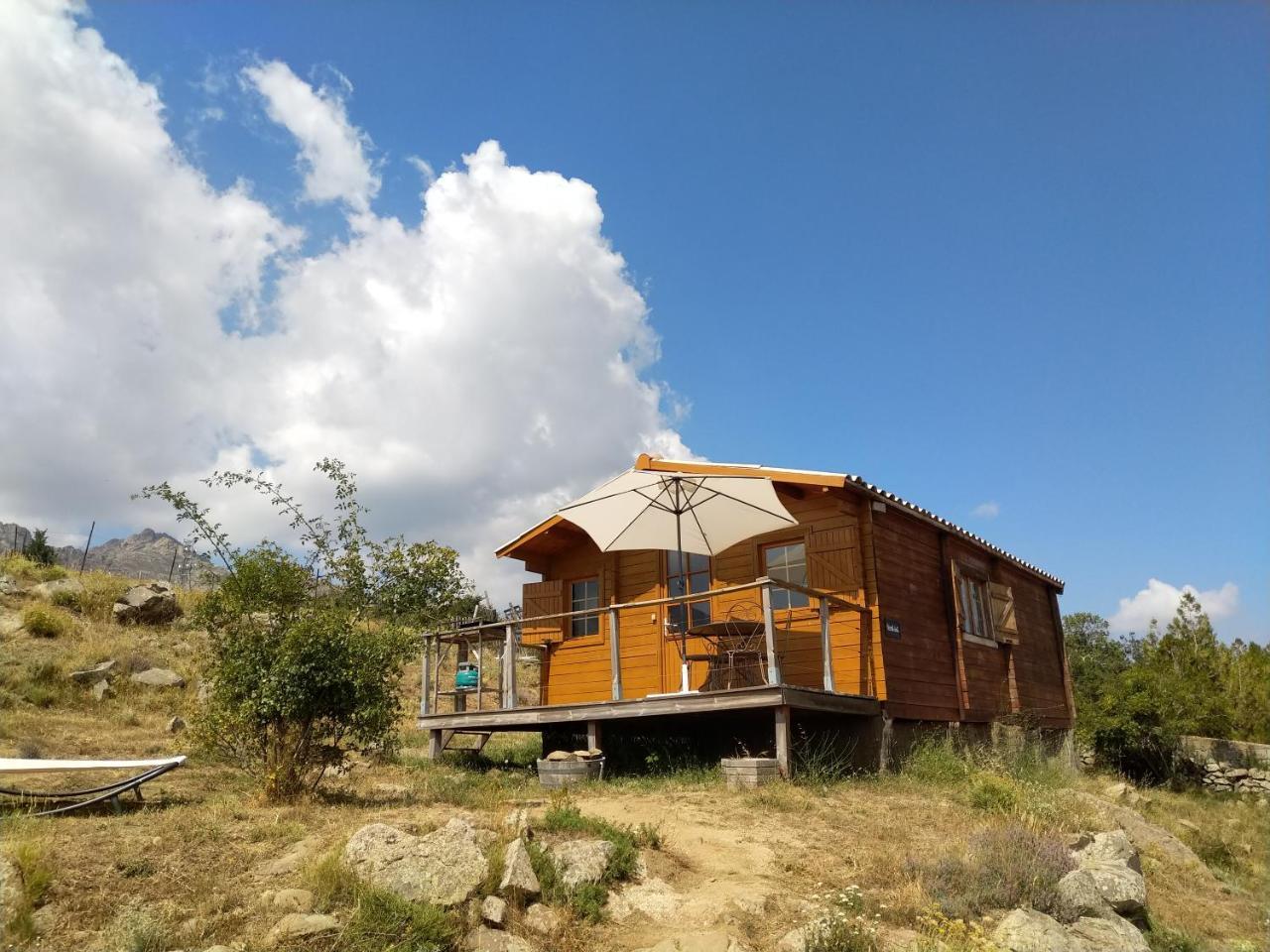 Les Chalets De Lozzi Calacuccia Luaran gambar