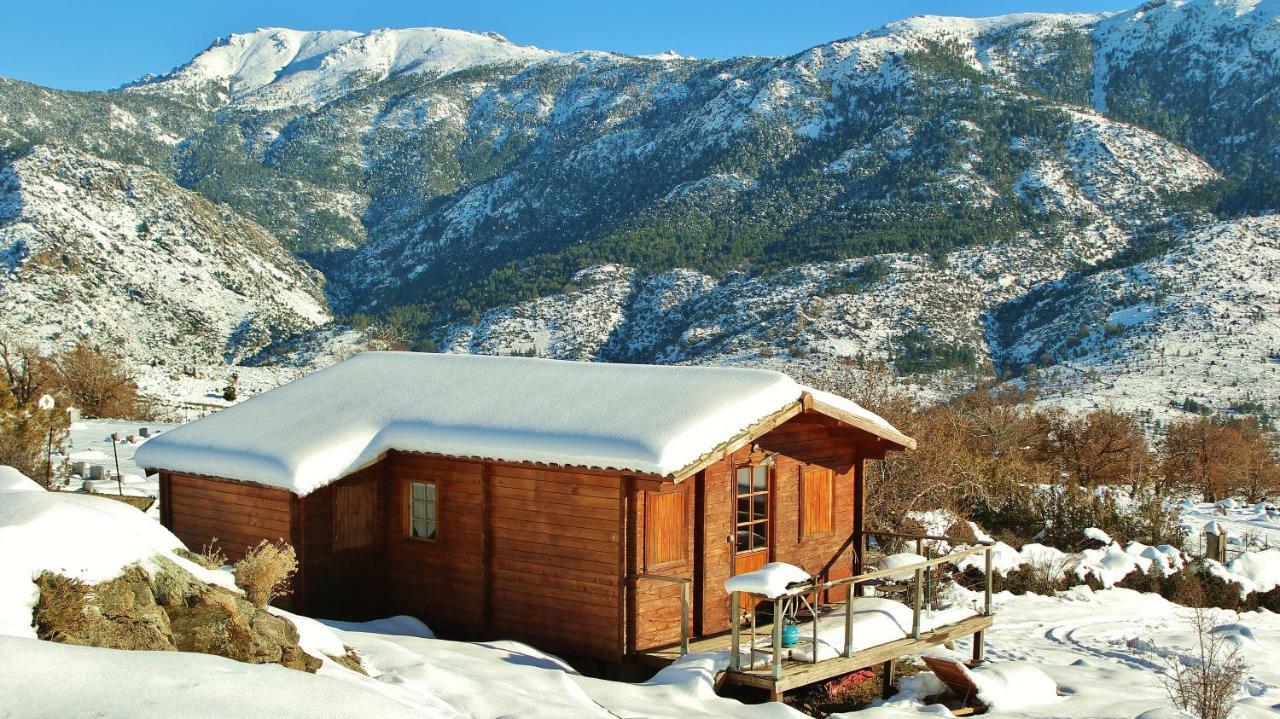 Les Chalets De Lozzi Calacuccia Luaran gambar