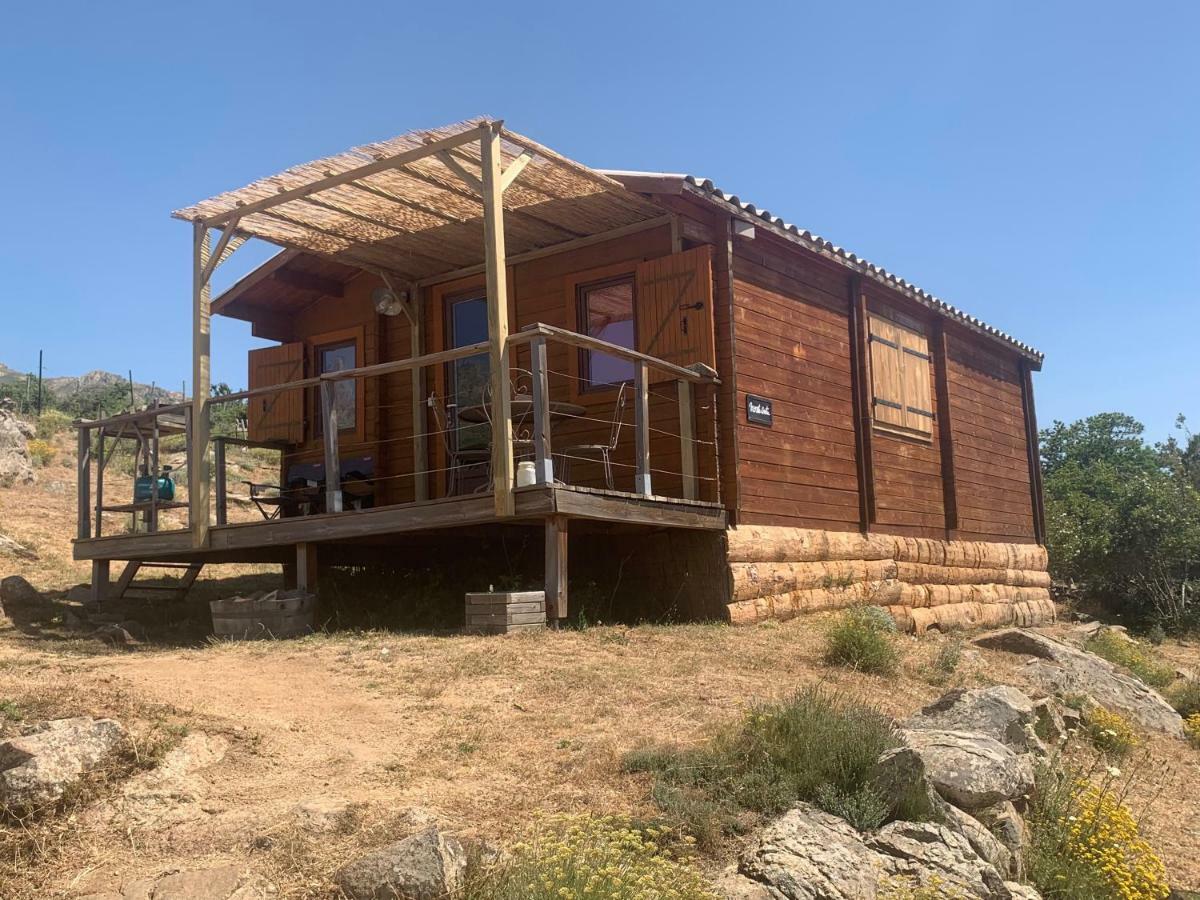 Les Chalets De Lozzi Calacuccia Luaran gambar